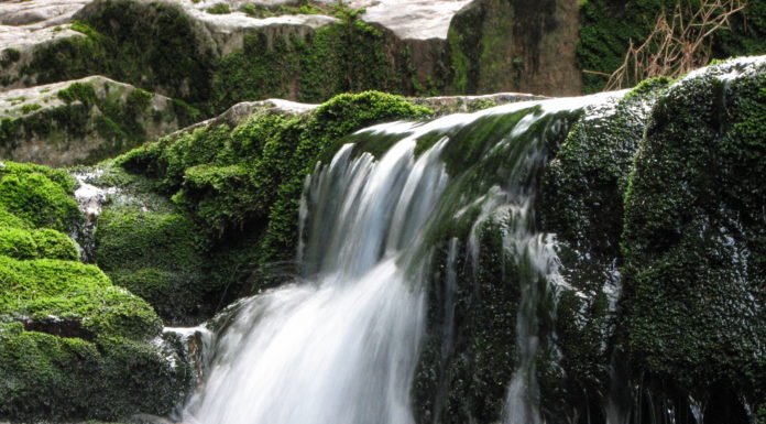 Karkonoskie Centrum Edukacji Ekologicznej