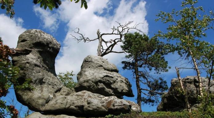 Ośrodek Dydaktyczno-Muzealny przy Parku Narodowym Gór Stołowych