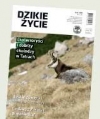 dzikie-zycie-w-sieci-adv