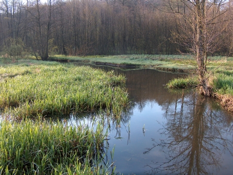 kozienicki park krajobrazowy