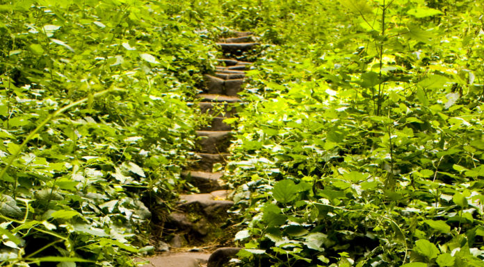 Scenariusz zajęć w ramach projektu „Małe kroki w dużej sprawie – ulotka”