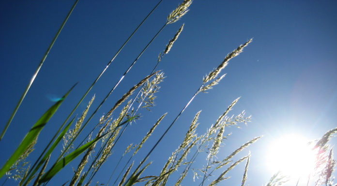 Nie można żyć bez powietrza