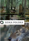 dzika-polska-w-zamosciu-adv
