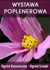 ogrod-botaniczny-ogrod-sztuki-adv