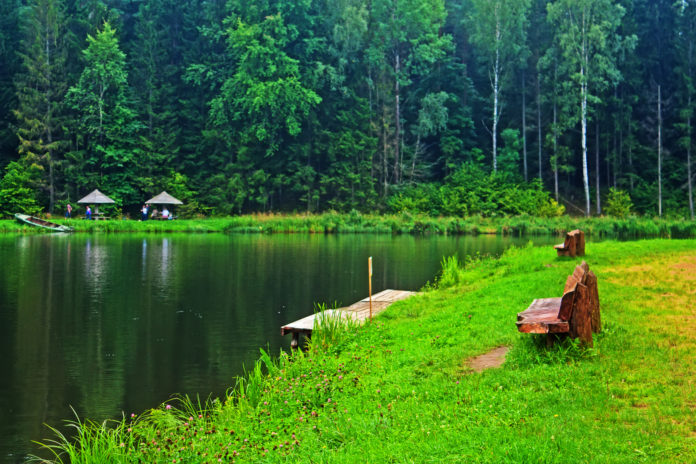 Bench against the backdrop of the Lake