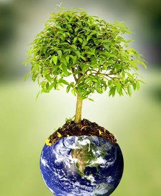 „Sadźmy drzewa dla siebie, dla naszych dzieci, dla Ziemi”