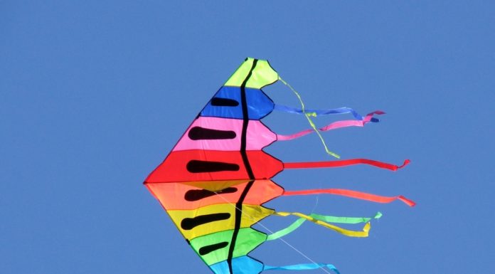 Podróż do Krainy Czystolandii