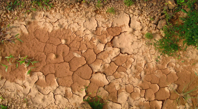 Chroń klimat. Co Ty możesz zrobić?