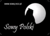 konkurs-malopolski-sowa-madra-glowa-rozstrzygniety-adv