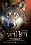 o-wilkach-na-pomorzu-adv