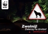 zwolnij-zwierze-na-drodze-adv