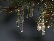 wycieczka-do-lasu-adv