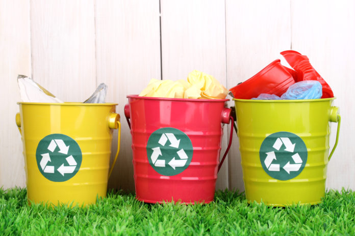 Recycling bins on green grass near wooden fence