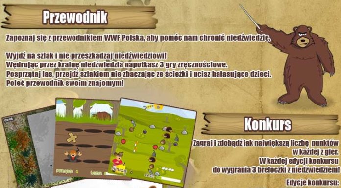 W krainie niedźwiedzia