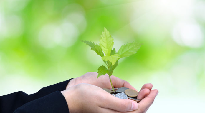 Zrównoważony rozwój w polskim systemie oświaty – IV etap edukacyjny