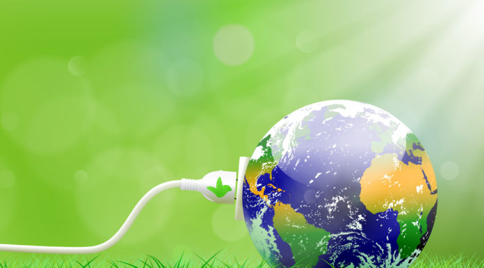 Projekt założeń do projektu ustawy o ZSEE