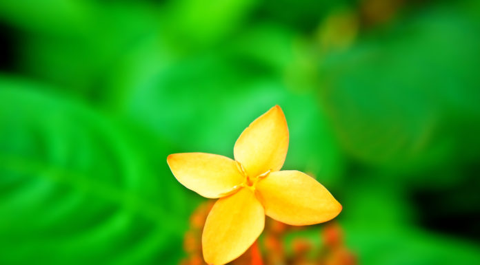 Materiał specjalny „Przyroda w liceach i technikach”