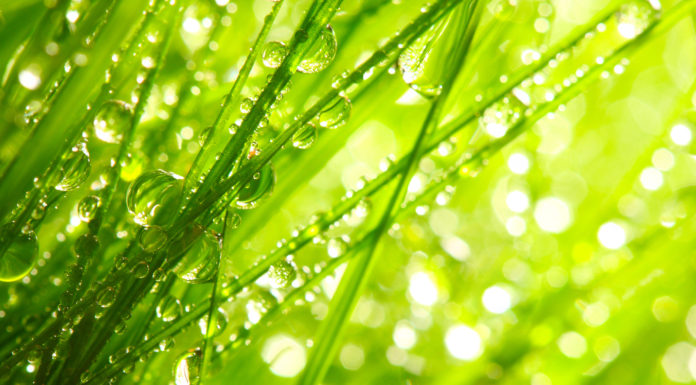 Witamy w nowym dziale!