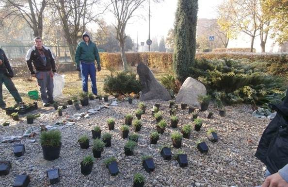 „Niebieskie Granty” na projekty ekologiczne