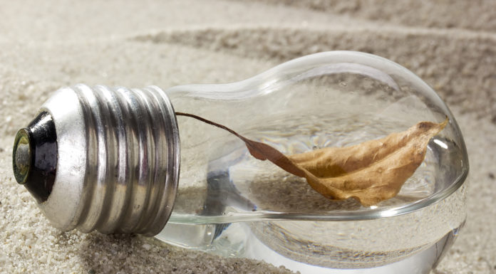 Warsztatownik – podręcznik do edukacji ekologicznej