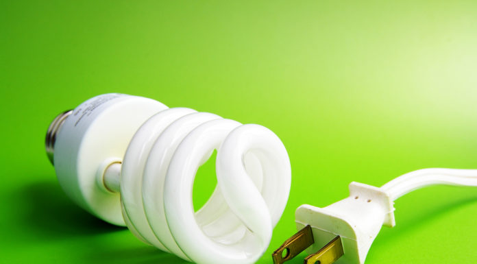 Zelektryzują Zieloną Górę