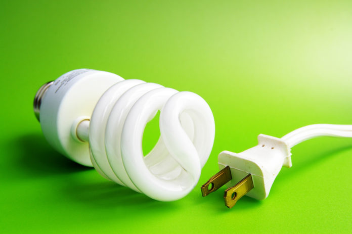 Compact fluorescent light bulb and plug, on green