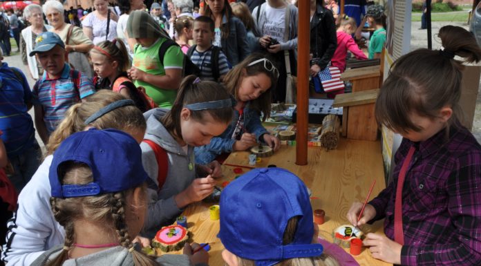 Spotkały się z lasem