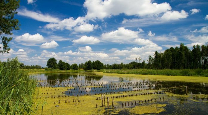 Komunikacja społeczna a NATURA 2000