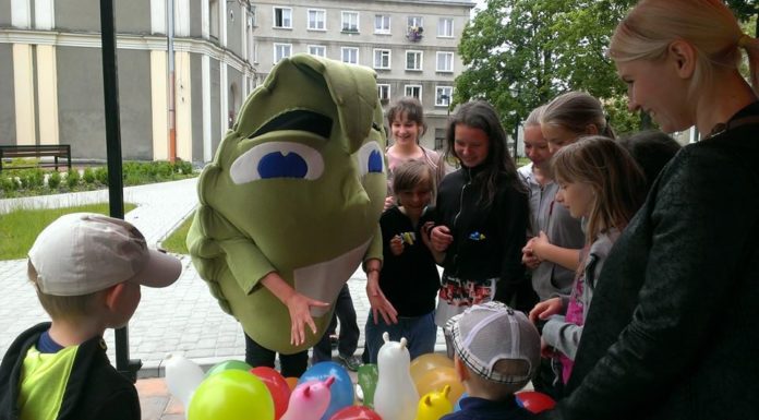 Zielniak w Stalowej Woli