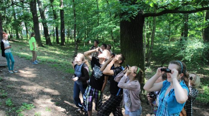 Bliżej skrzydlatych przyjaciół