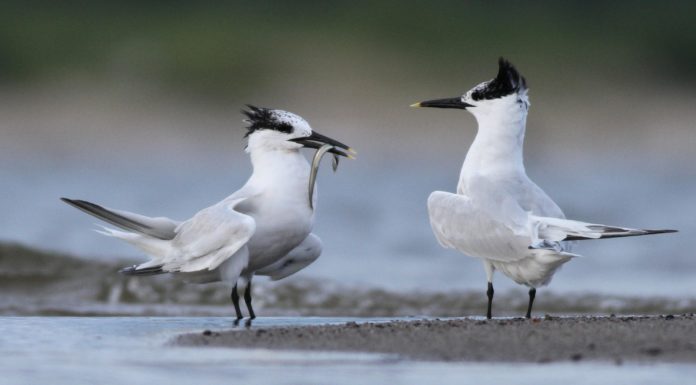 Edukacja w przyrodniczym eldorado
