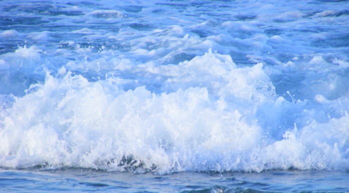 Realizacja projektu edukacyjnego od kuchni