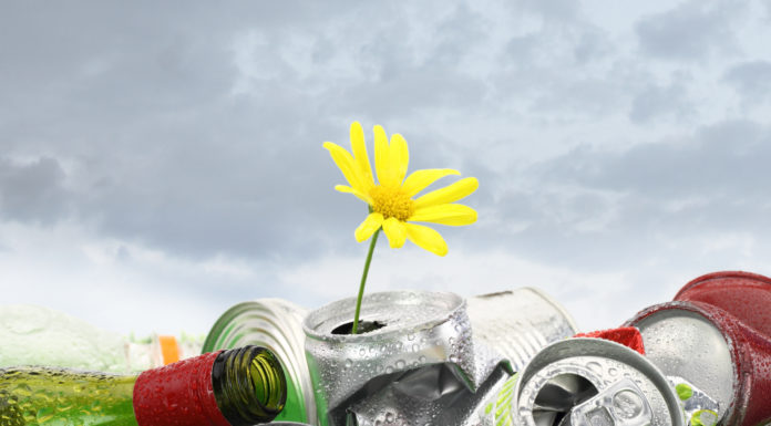 Dadzą śmieciom kosza