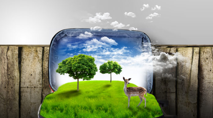 Turystyka na obszarach Natura 2000 – szkolenia