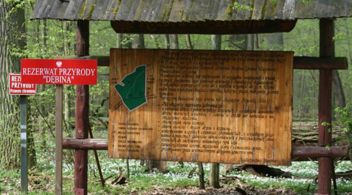 W sercu wielkopolskich rezerwatów