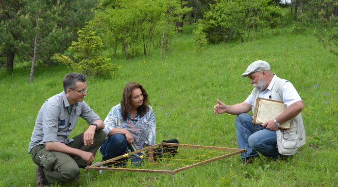 Ocalić bogactwo przyrody…