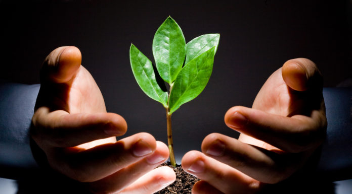 Nawyki, które kształtują życie w stylu eko