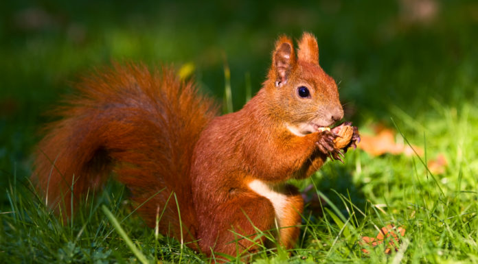 Ekologia , sport i dobra zabawa!