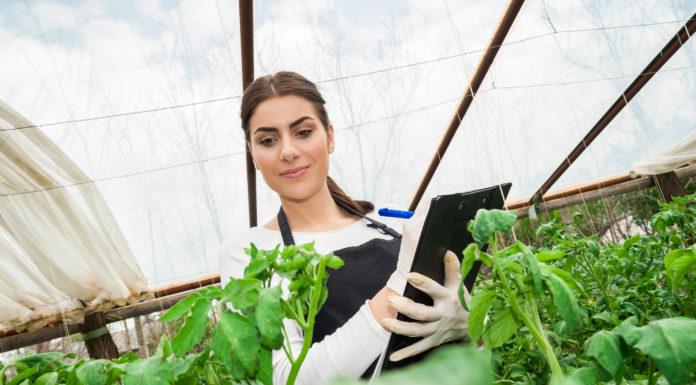 Dla koneserów stylu eko
