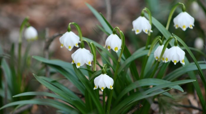 Wielkopolskie rezerwaty przyrody: filmowa opowieść i konkurs