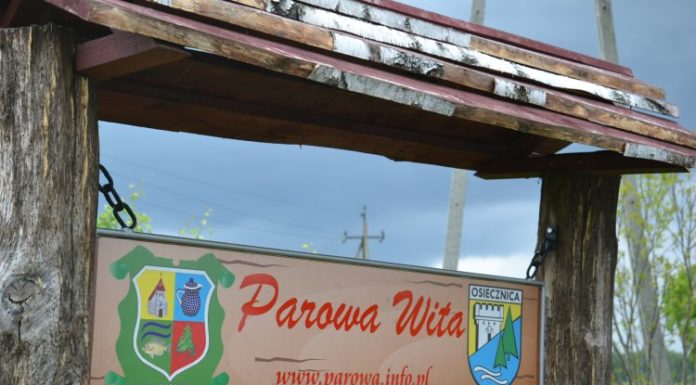 Bory Dolnośląskie: Darz Bór!