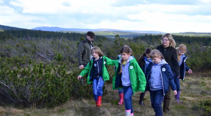 Góry Izerskie: „Izery” niejedno mają oblicze
