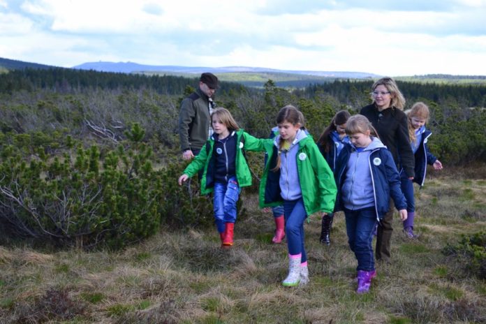 torfowiska (2) (Kopiowanie)