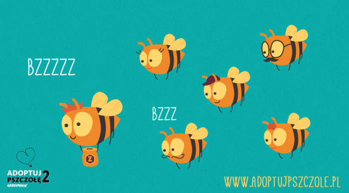 Adoptuj Pszczołę 2