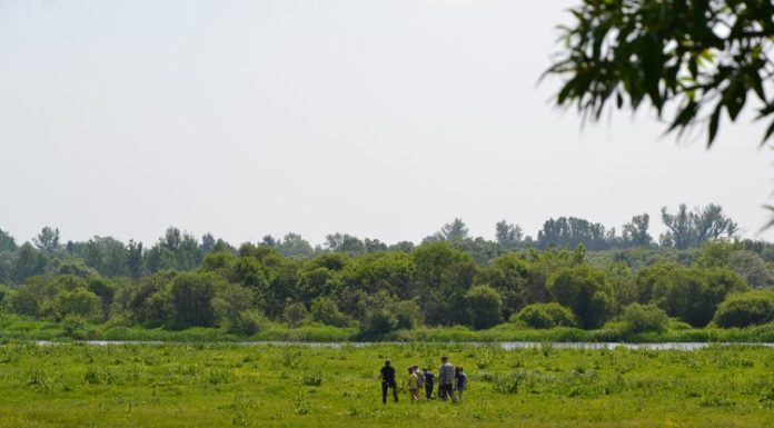 Cykl – jesienne wycieczki po obszarach chronionych. Park Narodowy Ujście Warty.