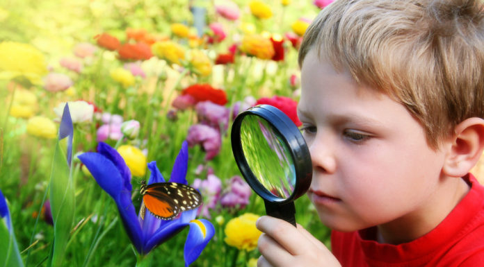 Inspiracje w przestrzeni: Ogród Przedszkolny