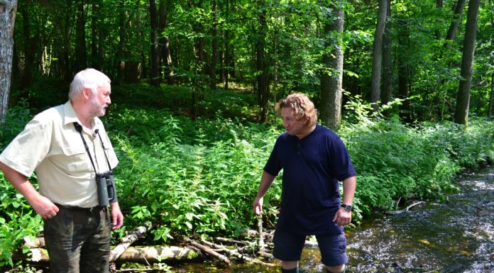 Woda to warunek życia