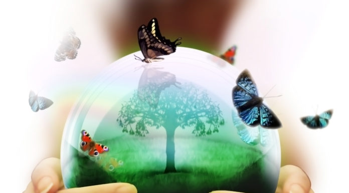 Pakiet Edukacyjny: Człowiek ? Środowisko ? Gospodarka