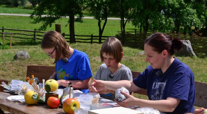Dolina Dolnej Wisły: teren lęgowy dla blisko 180 gatunków ptaków