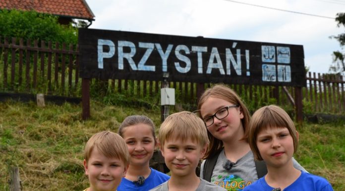 Lasy Iławskie: na spotkanie z bobrem i wydrą